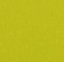 Линолеум Forbo Marmoleum Solid Piano 3646-364635 young grass фото 1 | FLOORDEALER